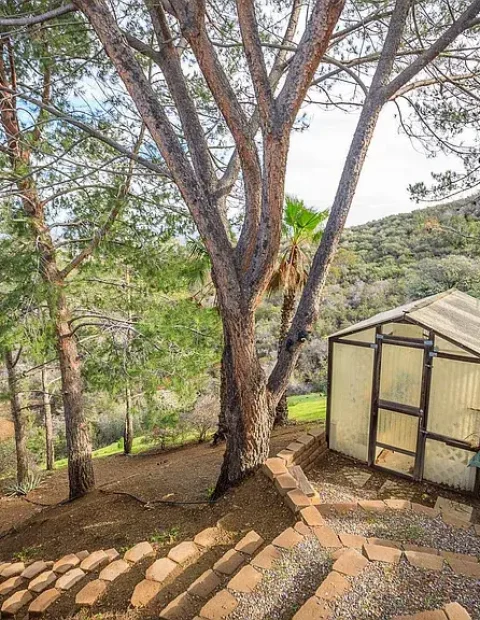 5e3c400aadbd75e67cb1ea1abb291d51-cc_ft_768